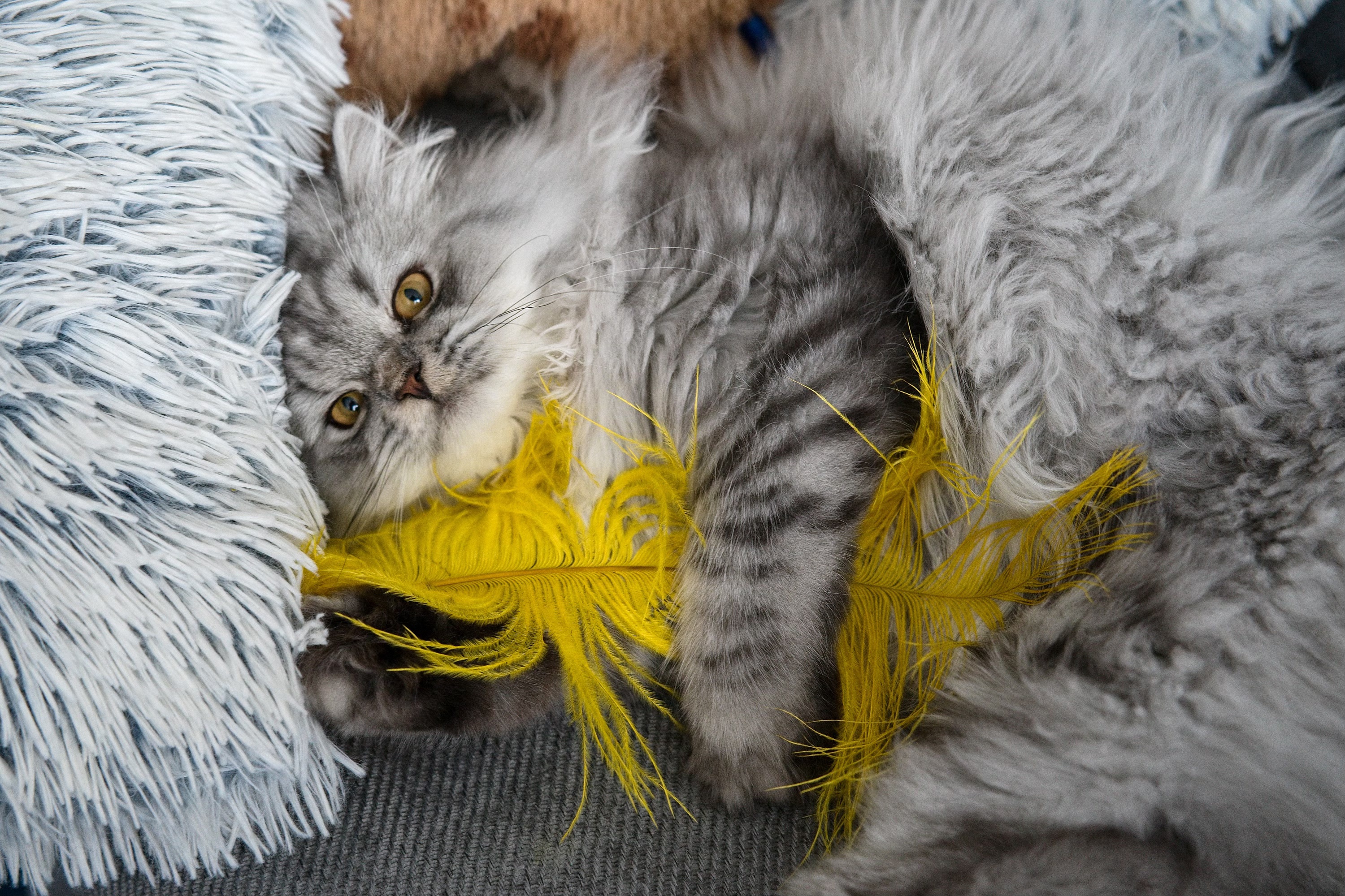 2026-01-11 Pohoda v mrazech